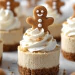 Mini Gingerbread Cheesecake Recipe