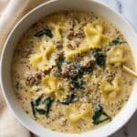Creamy Ground Beef Pasta in the Crockpot Recipe