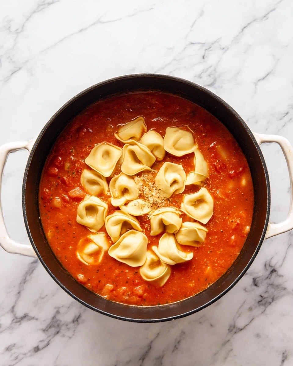 A large black pot with white handles sits on a white marbled surface, filled with a chunky red tomato soup base showing pieces of tomato and herbs. In the center, a single layer of uncooked pale yellow tortellini pasta pieces floats on the soup, each tortellini showing a folded, slightly puffy shape with smooth texture. The pot is viewed from above, clearly showing the contrast between the vibrant red soup and the light pasta. photo taken with an iphone --ar 4:5 --v 7