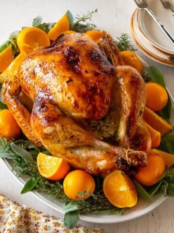 Juicy Champagne-Infused Thanksgiving Turkey with Orange and Aromatics Recipe