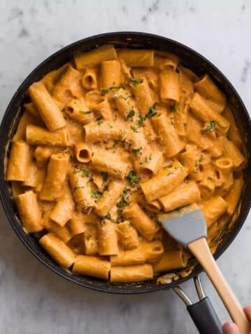 Creamy Tomato Rigatoni Pasta Recipe