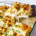 Chicken Alfredo Lasagna Roll Ups Recipe