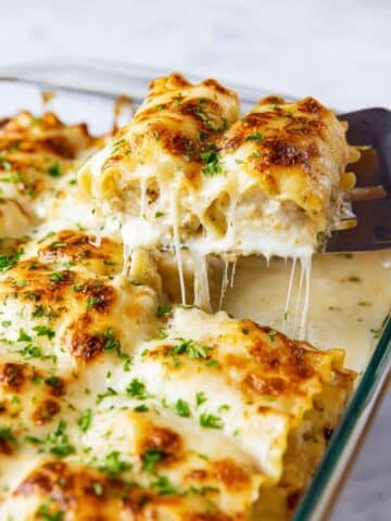 Chicken Alfredo Lasagna Roll Ups Recipe