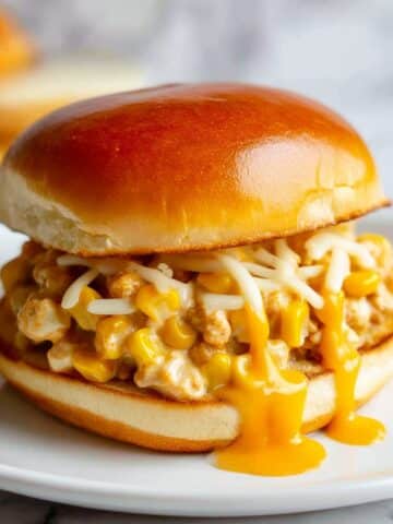 Cajun Chicken Sloppy Joes Recipe