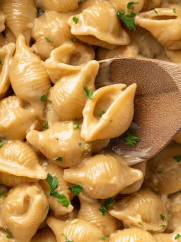 French Onion Pasta Recipe
