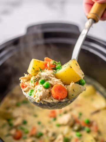 Crockpot Turkey Stew Recipe