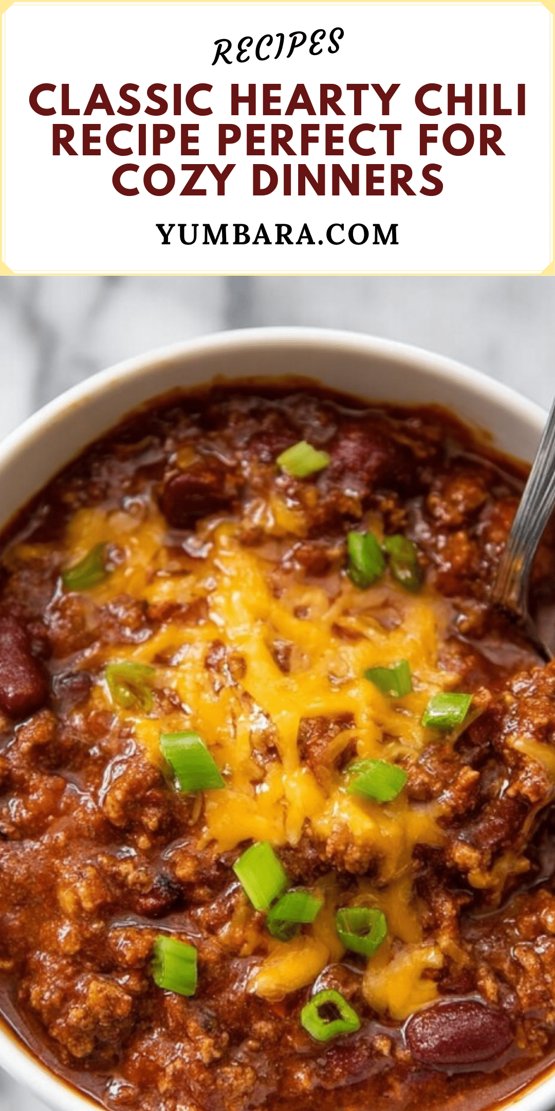 Blue Ribbon Chili: Hearty and Flavorful Chili Recipe