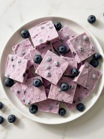 Blueberry Frozen Yogurt Bark Recipe