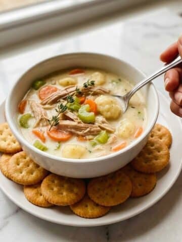 Creamy Chicken Noodle Soup Recipe