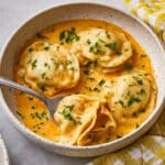 Slow Cooker Chicken and Dumplings Recipe