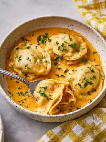 Slow Cooker Chicken and Dumplings Recipe