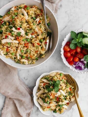 Easy Instant Pot Chicken and Rice Recipe