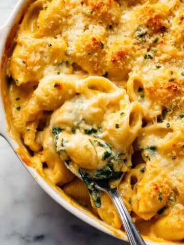 Creamy Butternut Squash Mac and Cheese Recipe