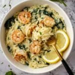 Lemon Garlic Shrimp Orzo Recipe