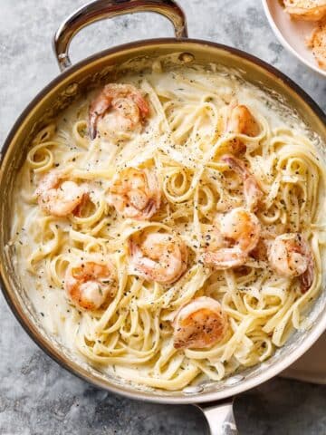 Shrimp Alfredo Pasta Recipe