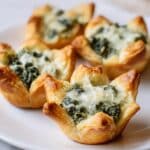 Spinach Artichoke Bites Recipe