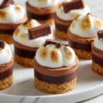 No-Bake S'mores Mini Cheesecakes Recipe